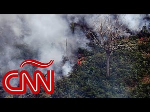 Brasil, Bolivia y Paraguay luchan contra el fuego en Amazonas, ¿quién causó esta tragedia ecológica?