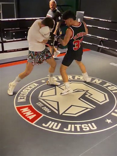 Boxing Training with Nardo: Sparring Sessions