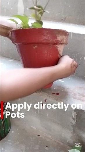 Transform Old Pots into Beautiful Decor | Terracotta Painting Idea ✨