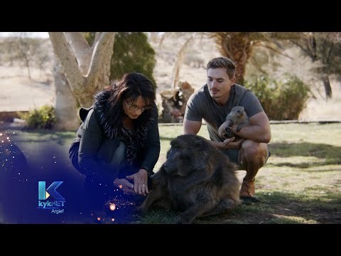 Kwêla - Ruben Lambrechts