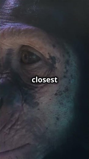 5 Shocking Facts About Human DNA You’ve Never Heard! 🧬 #dna #genetics #facts #science #biology