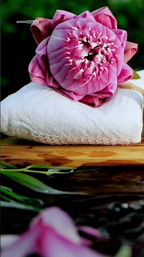 Musica rilassante per rilassare e calmare la mente | Musica della natura