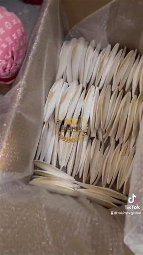 DRIED CUTTLEFISH BONE