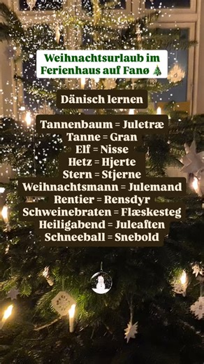 Korrektur: Herz = Hjerte Traditionen med juletræ i hjemmet kom til Danmark fra Tyskland i starten af 180Traditionen med juletræ i hjemmet kom til Danmark fra Tyskland i starten af 180#tannenbaum0-tallet. Og danskerne er glade for deres juletræ, som pyntes, for mange endda med ranker af det danske flag. Julegaverne lægges under træet. I dag danses der stadig om juletræet og vi synger klassiske julesange og julesalmer f.eks. “Højt fra træets grønne top” (Sangen kan høres i videoen) #dänisch #fanø 