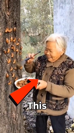 This 93 Years Old Grandma Creates A UniquePainting....!! 🌷