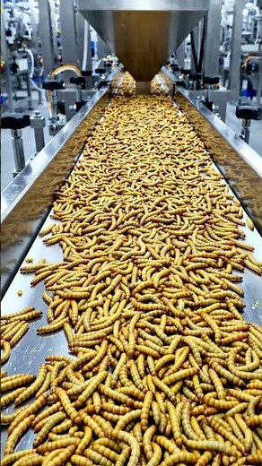 Inside a Ramen Noodles Factory 🍜 | How Instant Ramen Noodles Are Made (Factory Process)