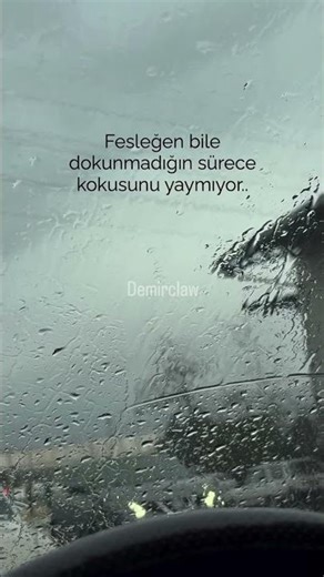 Everything that doesn't receive attention dies ❤️‍🩹 #value #destiny #sorrow #words #love #loyalty...