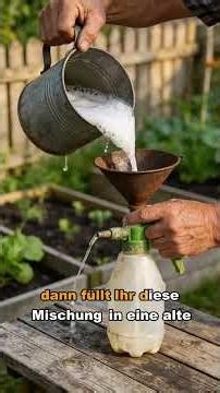 Blattläuse bekämpfen mit Schmierseife Hausmittel #blattläuse #garten #pflanzenpflege