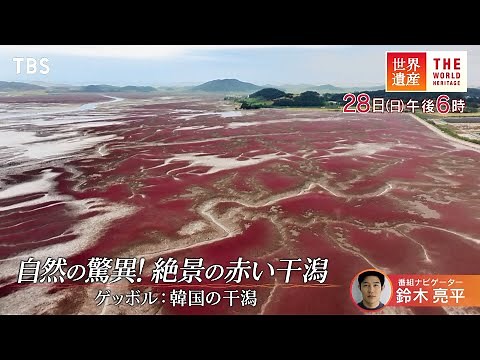 『世界遺産』4/28(日) ゲッボル：韓国の干潟 〜 自然の驚異！絶景の赤い干潟【TBS】