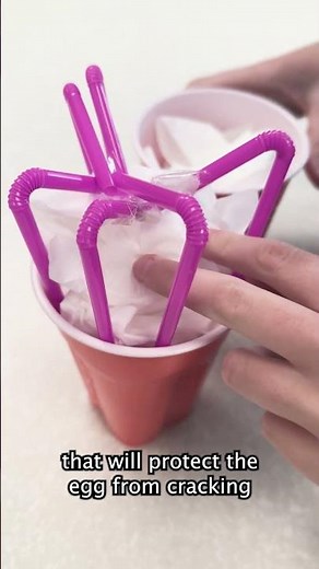 Fun and Easy STEM Activities: Egg Drop