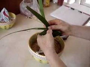 Making Zongzi - Wrapping