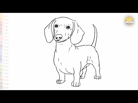 Dachshund dog drawings easy | Pet animal sketches | How to draw A Dachshund dog step by step simply
