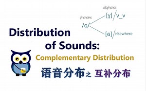 【语言学| Aze Linguistics】互补分布 | Distribution of Sounds: Complementary Distribution