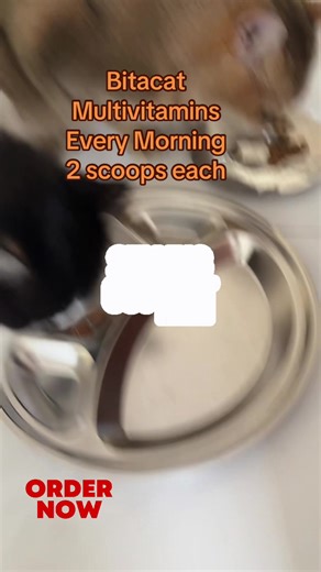 Boost Your Health with Bitacat Multivitamins