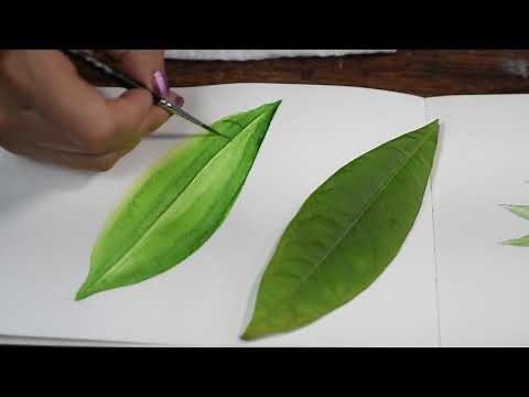 Como Pintar Hojas en Acuarela
