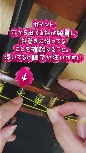 【長唄三味線】糸の掛け方 糸巻き編 #長唄 #三味線 #初心者 #糸のかけ方 #糸巻き