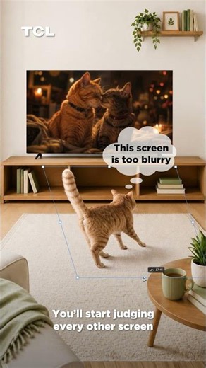 Three things no one tells you about getting a TCL TV... 🐈📺