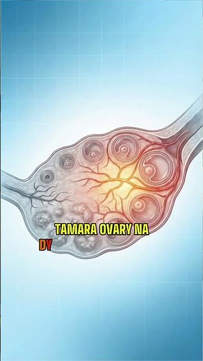 Infertility & Poor Ovarian Reserve: How Stress Disrupts the HPO Axis and Affects Egg Quality