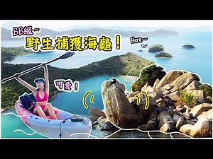 【爽！】發現海龜海豚化石？海下灣全新獨木舟玩法！浪漫玻璃船～｜海下灣海岸公園 銀洲 磨洲