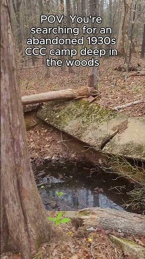 POV: You're searching for an abandoned 1930s CCC camp deep in the woods