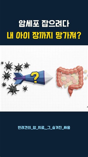 암세포 잡으려다 내 아이 장까지 망가져? #유선종양 #비만세포종 #항암치료 #노령견 #반려견항암