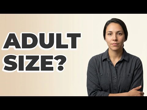 Should Terrarium Size Match The Animal's Adult Size?