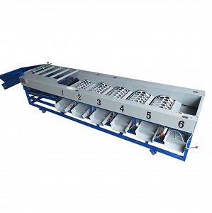 [Hot Item] Potato Onion Apple Tomato Vegetable Fruit Size Roller Grading Sorting Machine