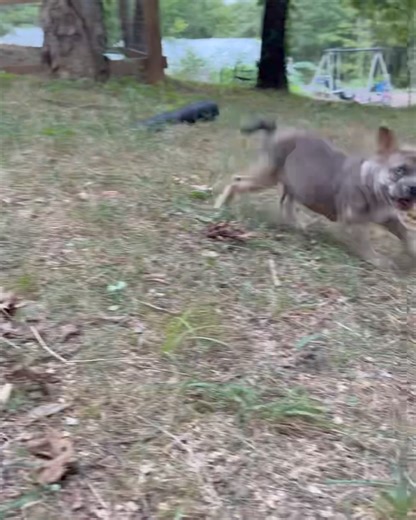 Good morning ☀️ | Plant Based Gabriel