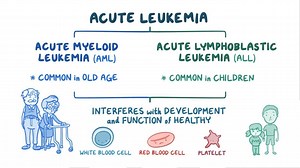 Video: Acute leukemia - Video Explanation! | Osmosis | Osmosis