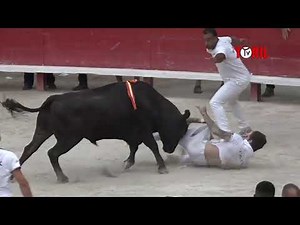 Course Camarguaise - Moment d'émotion à Lunel 2022