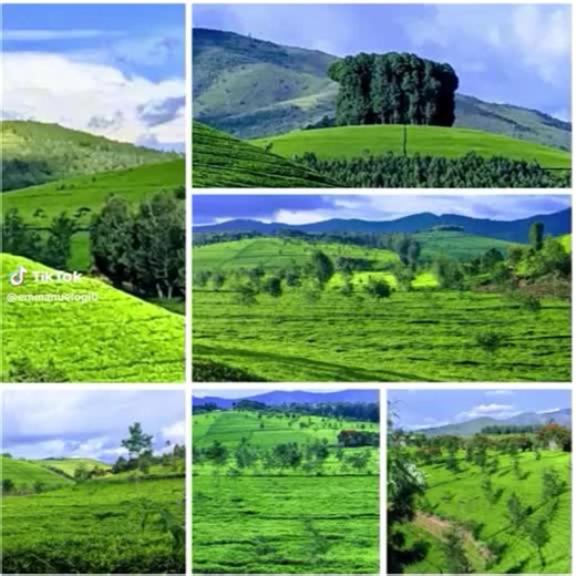 TikTok · visit NYARUGURU