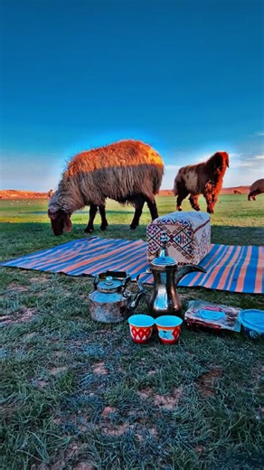 الجو ماشاءالله🤍#ابو_غلا #احمد_الشمري #غنم #اكسبلور #اكسبلورexplore #بدو #الغنم #نعيم #اكسبلور #الشعب_الصيني_ماله_حل😂😂 #الشمال_عرعر_رفحاء_روضة_هباس_الحفر