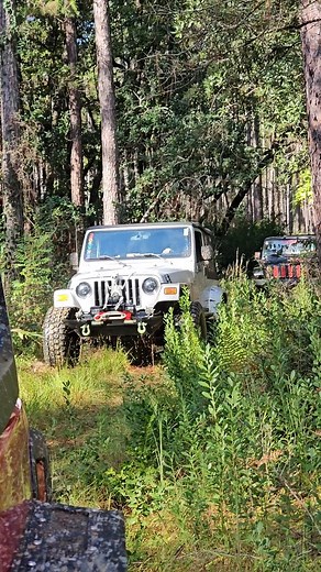 Enjoy this short documentary about Jeeps in the forrests of Florida 🌳🌴🌳 #pensacolajeeps #floridajeeps #jeeplife #offroadnation #jeeptrails | Pensacola Jeeps