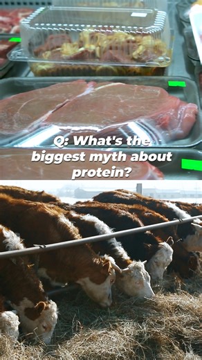 wHeRe Do YoU GeT YoUr PrOtEiN? 😑 Screenshot this guide to make sure you’re feeding your muscles, but still being kind to all animals 💟📲 | PETA (People for the Ethical Treatment of Animals)