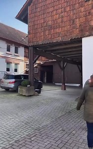 Familie Arnemann aus Großenrode bei Moringen bei der Arbeit in bewegten Bildern. Nachtrag zum gestrigen Zeitungsartikel der HNA🗞 #landwirtschaft #fitfürdiezukunft #biolandwirtschaft #bioland #legehennen #huhn #🐓🥚 | Landvolk Northeim-Osterode Kreisbauernverband e.V.