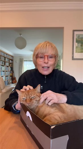 Lost Head Massager for Wizzy the Cat