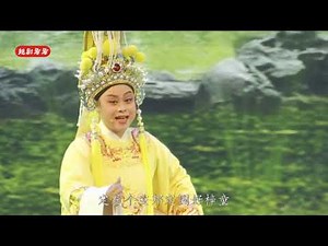 【越剧】姹紫嫣红2019越剧名家名票新年演唱会