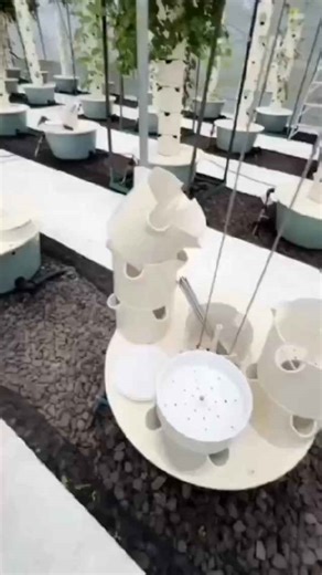 Grow more in less space with aeroponic tower farming