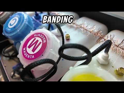 DTF PRINTING BANDING ISSUES, How to properly TROUBLESHOOT from start to finish!