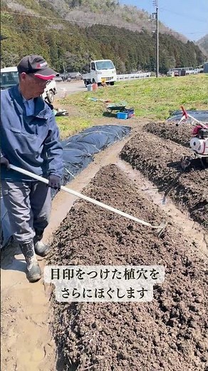 山の芋植付け開始６０秒）