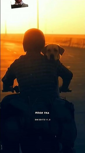 777 CHARLIE FULL MOVIE