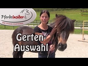 🐴 Ausrüstungskunde beim Pferd: Die passende Gerte wählen 👍