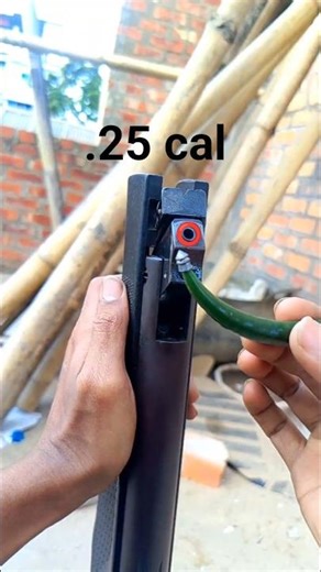 Watch how accurate this airgun is 😳🎯