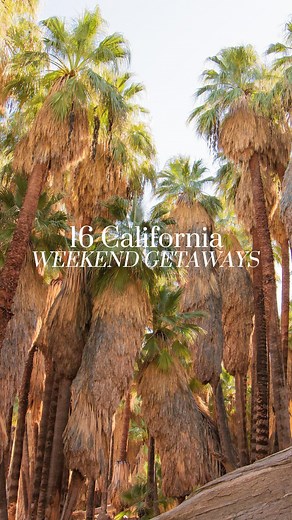 16 California destinations to inspire your next weekend trip! ☀️✨ Which of these California weekend getaways are you choosing? ⇢ Encinitas - for a getaway at a chill Southern California beach town ⇢ San Diego - for a fun-filled and sun-soaked city trip ⇢ La Jolla - for a weekend exploring an upscale coastal town ⇢ Santa Ynez Valley - for amazing vineyards & cute small towns (and, most importantly, ostriches) ⇢ Santa Barbara - for a relaxing trip in a picture-perfect beachside city ⇢ Idyllwild - 