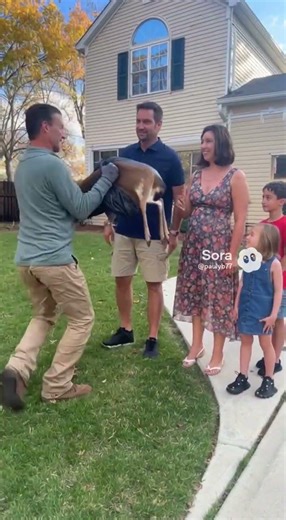 Dead Deer Removal Bergen County NJ | Emergency Same-Day Deer Pickup Near You - Call (862) 658-2086