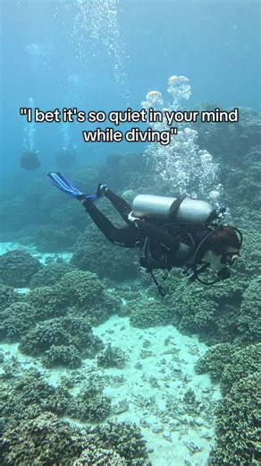 Discovering Bora Bora: A Freediver's Paradise