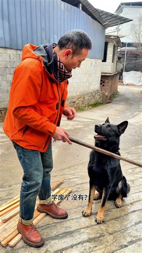 Dog training must be based on example. The story of the wine guy and the rifle. The fun of the s