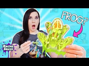 Five Below Frog Dissection Kit?!