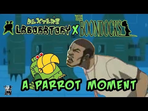 Dexter's Lab x the Boondocks: a Parrot Moment