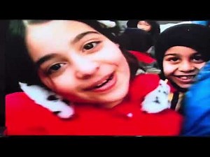 Opening to Sesame Street: Best of Friends 2012 DVD
